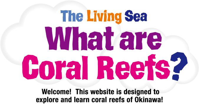 The Living Sea What are Coral Reefs? This page introduces Okinawan coral reefs and their function.