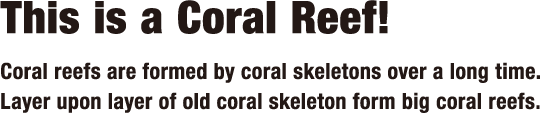 This is a Coral Reef! Coral reefs are formed by coral skeletons over a long time. Layer upon layer of old coral skeleton form big coral reefs.