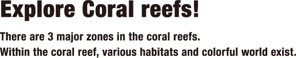 Explore Coral reefs! There are 3 major zones in the coral reefs. Within the coral reef, various habitats and colorful world exist.
