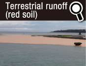 Terrestrial runoff (red soil)