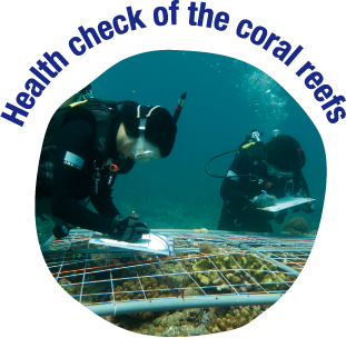 Health check of the coral reefs