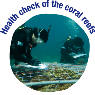 Health check of the coral reefs