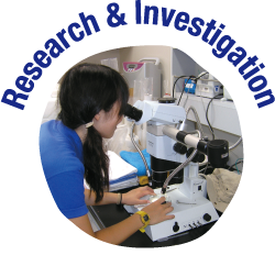 Research & Investigation