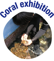 Coral exhibition