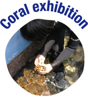Coral exhibition